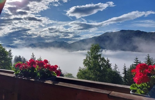 Steinfeld Bed & Breakfast | Apartment type Latschur - Waldpension Ranner
