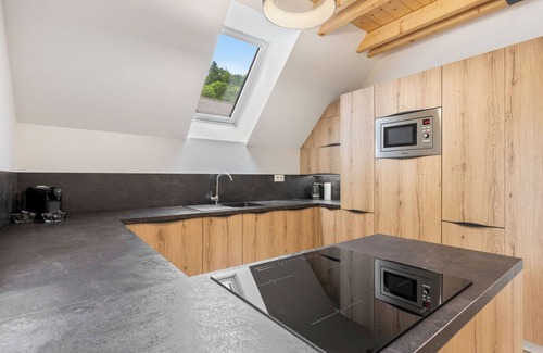 Bedrichov Apartment | Apartment U Buku by Interhome