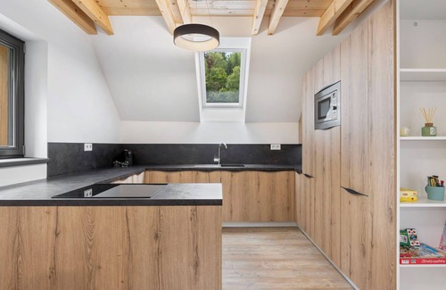 Bedrichov Apartment | Apartment U Buku by Interhome