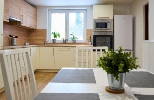 Desna Apartment | Apartment U Dzina-1 by Interhome
