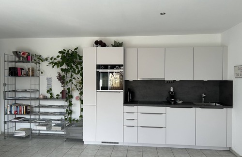 Ludwigshafen Apartment | Apartment with large terrace and garden near the lake