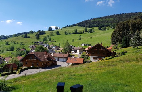 Todtnau Apartment | Apartment with a view