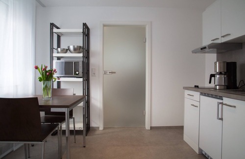 Wasseralfingen Apartment | Apartment with balcony/terrace Type C - Aalen-Wasseralfingen - Apartment House Renz