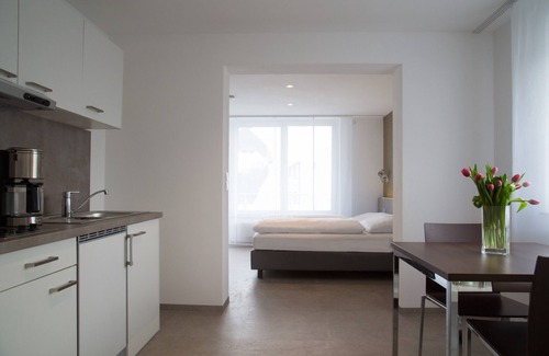 Wasseralfingen Apartment | Apartment with balcony/terrace Type C - Aalen-Wasseralfingen - Apartment House Renz