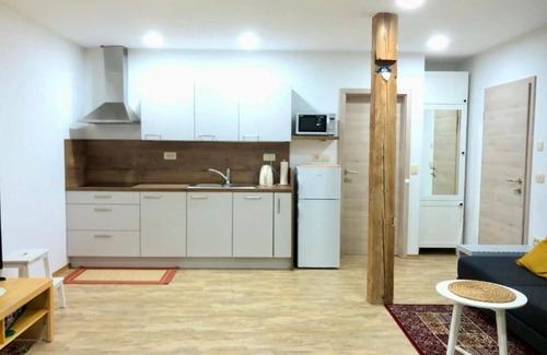 Radovljica Apartment | Apartment with Mountain View!