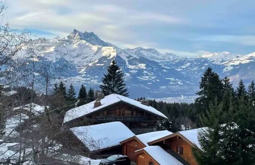 Villars-sur-Ollon Condo | Apartment with stunning view!