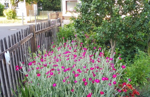 Pracht Apartment | Apartment with terrace in the garden