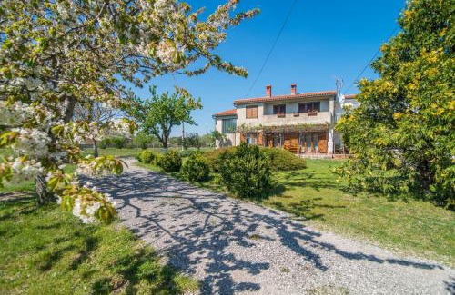 Filipana Apartment | Apartment with Terrace in Filipana