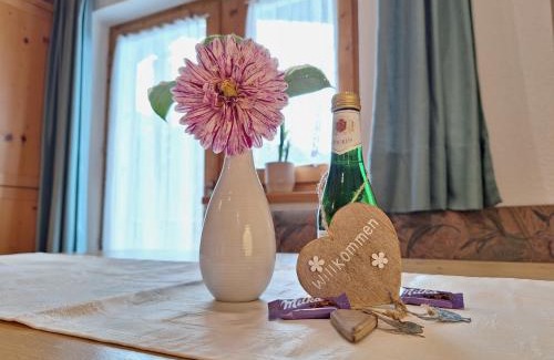 Kaunerberg Apartment | Apartments Amelie -2- mit Wallbox für ihr E-Auto und Garage für 2 Motorräder