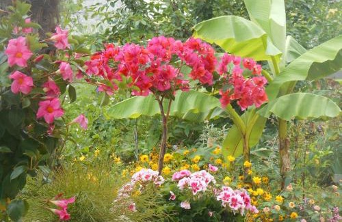 Tribunj Apartment | Apartments Jerkin