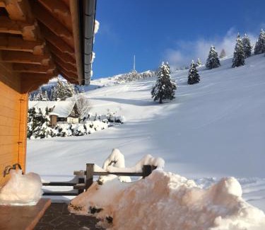 Ambroz pod Krvavcem Ski Chalet | Apartments Krvavec