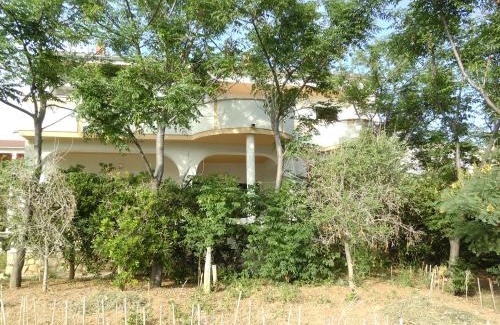 Pag Apartment | Apartments Krešimir beauty with shadow trees and parking place