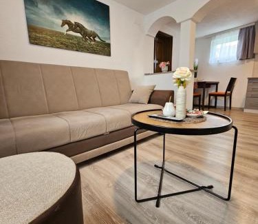 Lipovaca Dreznicka Apartment | Apartments Luka