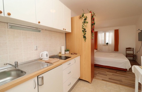 Drace Apartment | Apartments Sergej-Standard Studio apartment with Terrace and Sea View (Nataša)