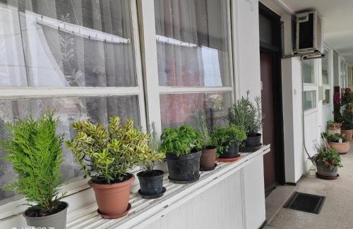 Bjelovar Apartment | Apartments with parking space Bjelovar, Bjelovarska - 23322