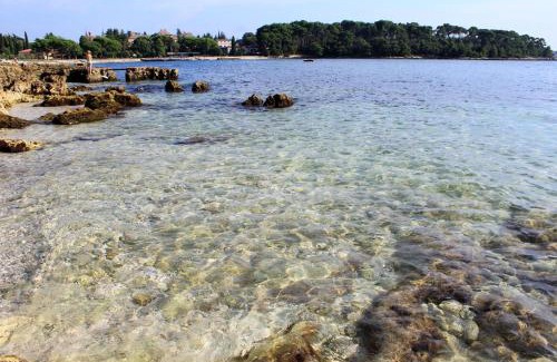 Borik Apartment | Apartments with parking space Rovinj - 3393