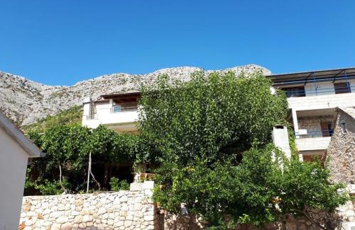 Ivan Dolac Apartment | Apartments with parking space Ivan Dolac, Hvar - 10434