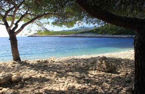 Rukavac Apartment | Apartments with parking space Rukavac, Vis - 8489