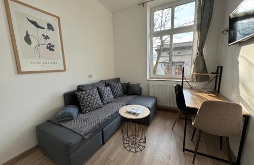 Tarnowskie Gory Apartment | ApartmentsByMatyrafa-VI