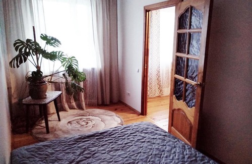 Sovetsky District Apartment | Apartnet. Центр у метро - Краснозвездная