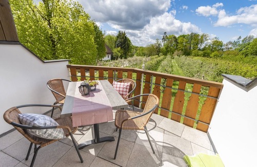 Graefenberg Apartment | Apfelblüte - Genusshof Pingold