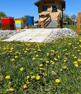 Vavrisovo Other | Apidomček na Gazdovom dvore