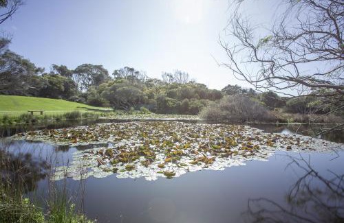 Marengo House | Apollo Bay Cottages- Sabine