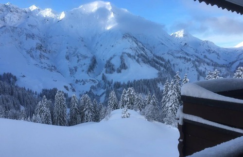 Schroecken Apartment | App. for 2-4 persons Top 22 - Sportappart Hochtannberg