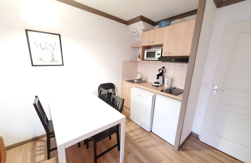 Besse-et-Saint-Anastaise Apartment | APPA 87B LMD Sancy