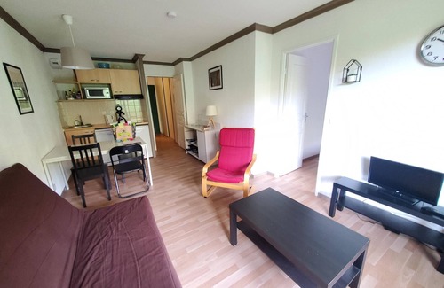 Besse-et-Saint-Anastaise Apartment | APPA 87B LMD Sancy