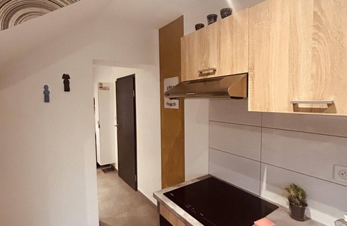 Longeville-les-Saint-Avold Apartment | Appartement Longeville-Lès-Saint-Avold 1 chambre 3 lits simples
