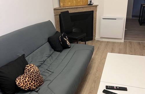 Pierre-Benite Apartment | Apparemment Complet 2 Couchage