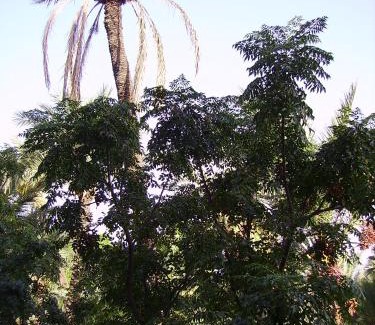Majorelle Apartment | Appart avec vue Jardin/Majorelle