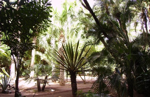 Majorelle Apartment | Appart avec vue Jardin/Majorelle