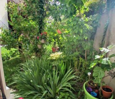 Faubourg Sud Apartment | Appart Rez de jardin