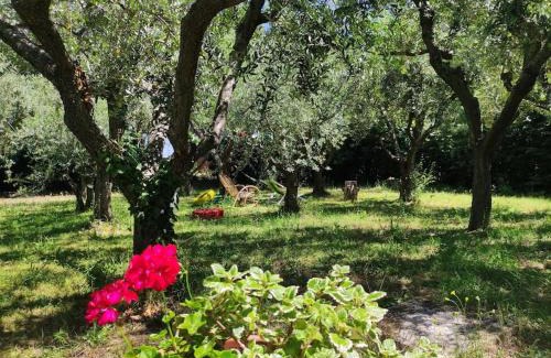 San Giovanni In Marignano House | Appartamento Dai Nonni San Giovanni in Marignano
