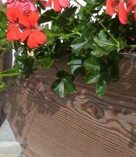 Granvilla Apartment | Appartamenti Anna Benedetti