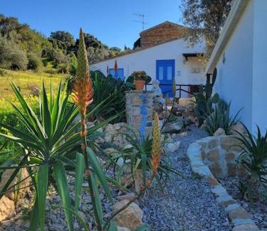 Acquedolci House | Appartamento Origano
