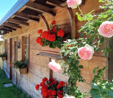 Rovereto Apartment | Appartamento per vacanze "IL GELSO"