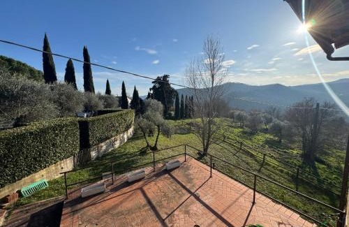 Pontassieve Apartment | Appartamento Zafferano