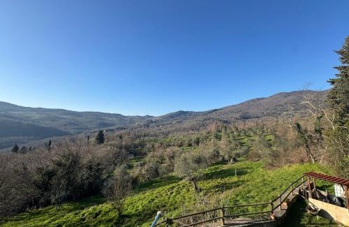 Pontassieve Apartment | Appartamento Zafferano