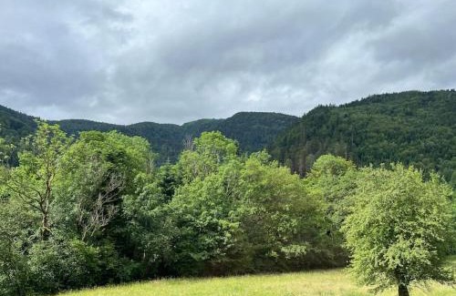 Saint-Maurice-sur-Moselle Apartment | Appartement 5 personnes avec espace plein air