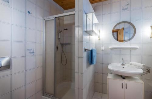 Hopfgarten im Brixental Apartment | Appartement Erika