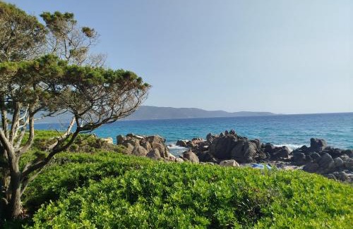 Olmeto Apartment | Appartement 5 personnes