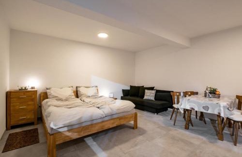 Kirchberg in Tirol Apartment | Appartement Alpenlöwe