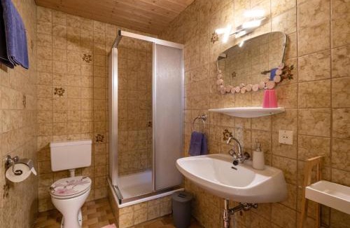 Kirchberg in Tirol Apartment | Appartement Alpenlöwe