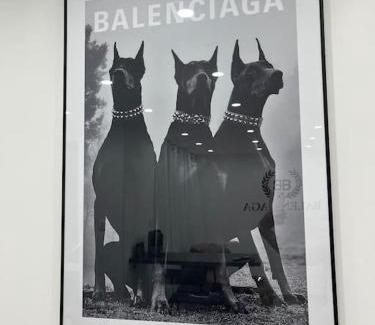 Echirolles Apartment | Appartement balenciaga