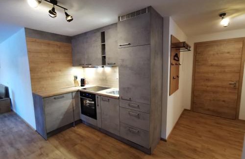 Holzgau Apartment | Appartement Bergfuier