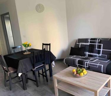 Les Hauts de Canet Apartment | Appartement Cosy Confort PARKING CLIM WIFI LINGE accès piscine non inclus
