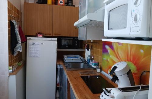 Montauban-de-Luchon Apartment | Appartement Châlet de la Pique